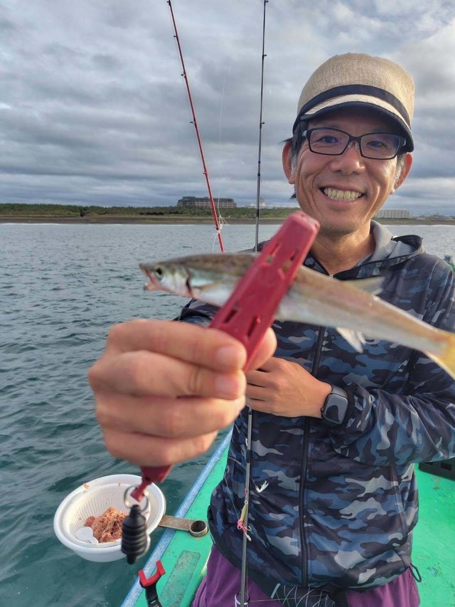 カマス(アカカマス)