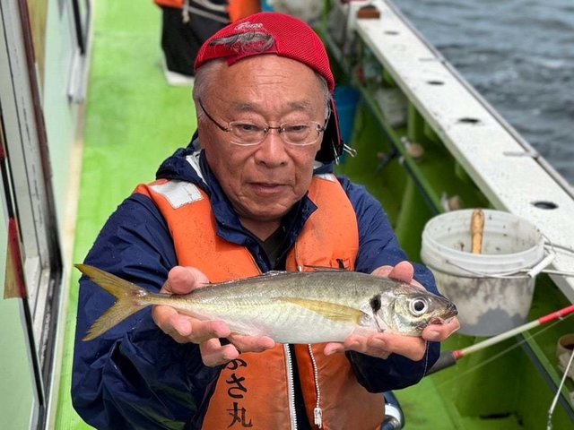 アジ(マアジ)