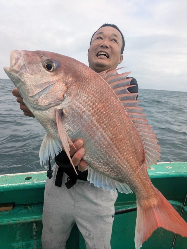 マダイ