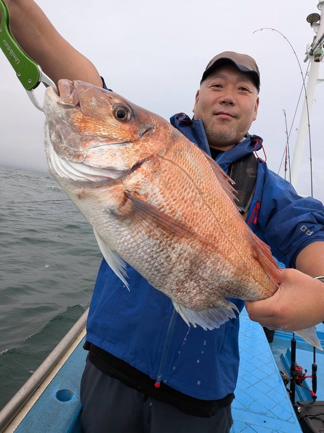 マダイ