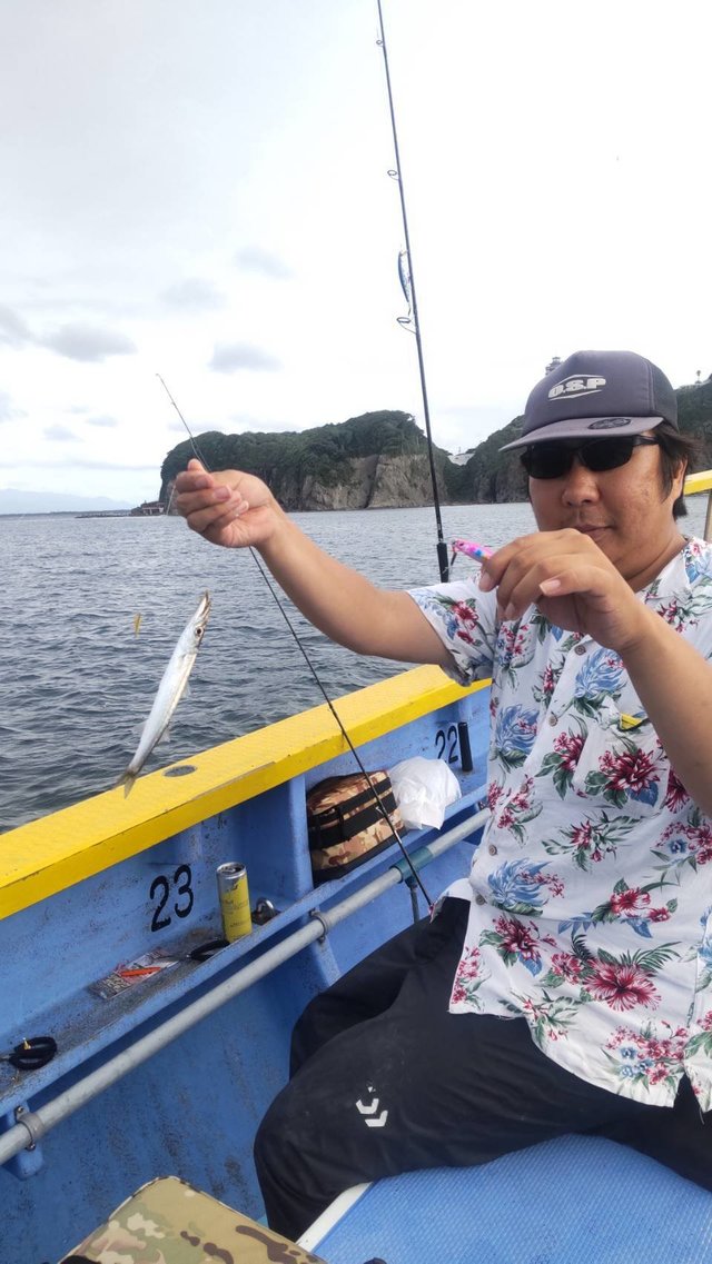 カマス(アカカマス)