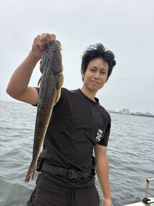 マゴチ