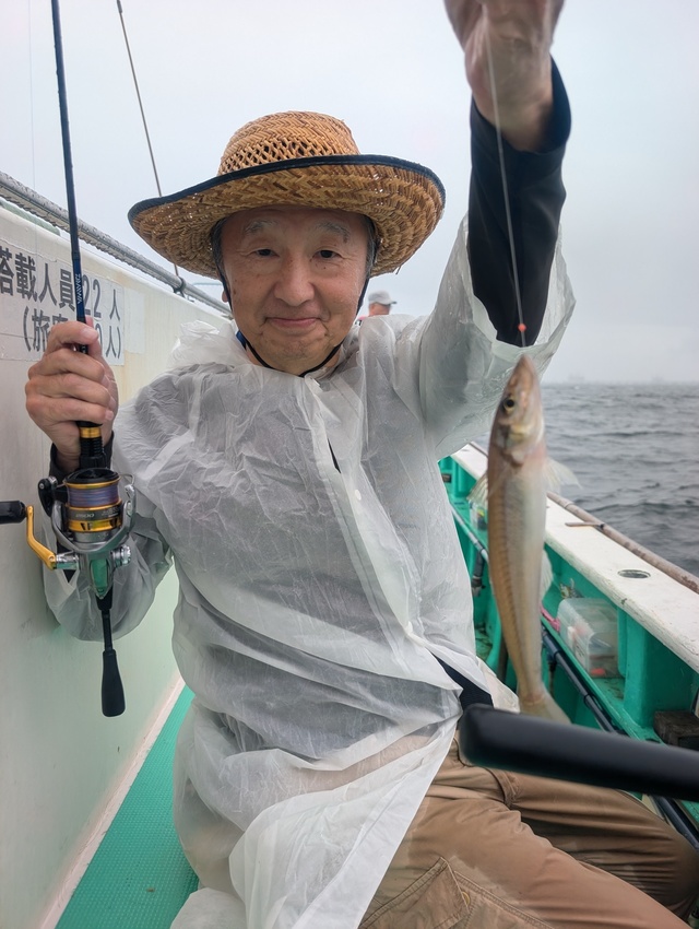 シロギス