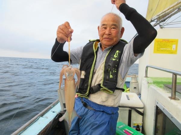 スルメイカ
