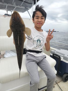 マゴチ
