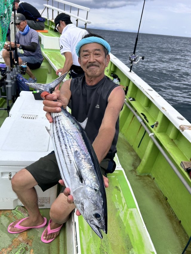 カツオ