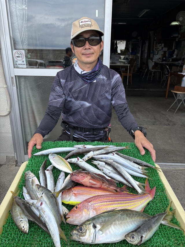 アジ(マアジ)・カマス(アカカマス)