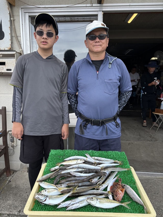 アジ(マアジ)・カマス(アカカマス)