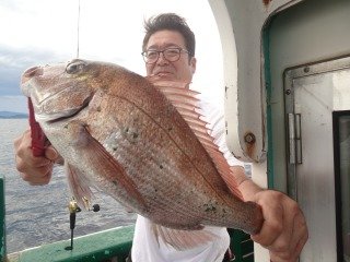 マダイ