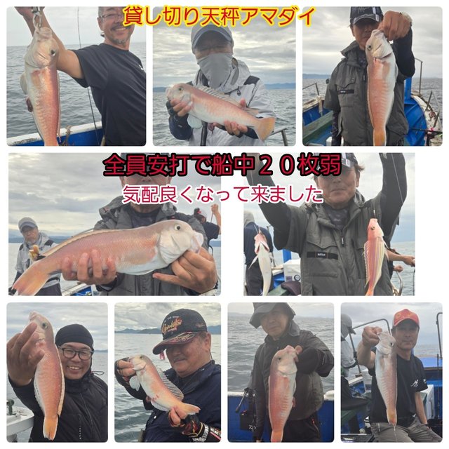 シロアマダイ