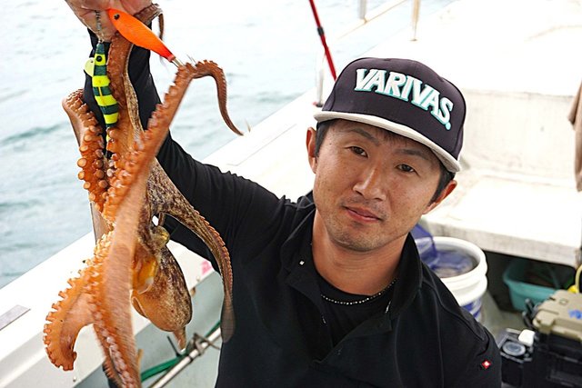 マダコ