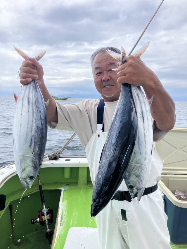 ホンガツオ(カツオ)