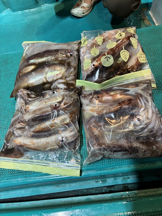 スルメイカ