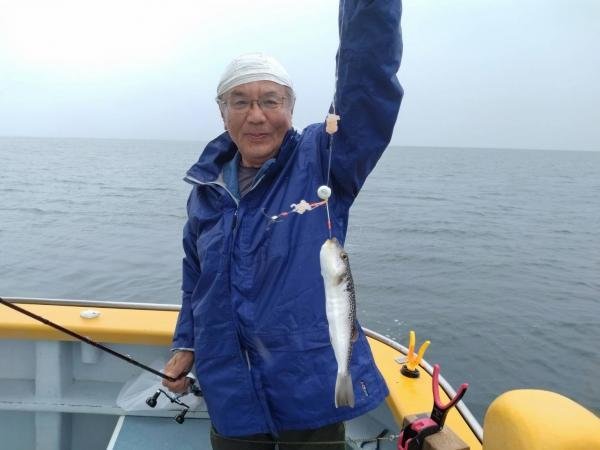 ショウサイフグ