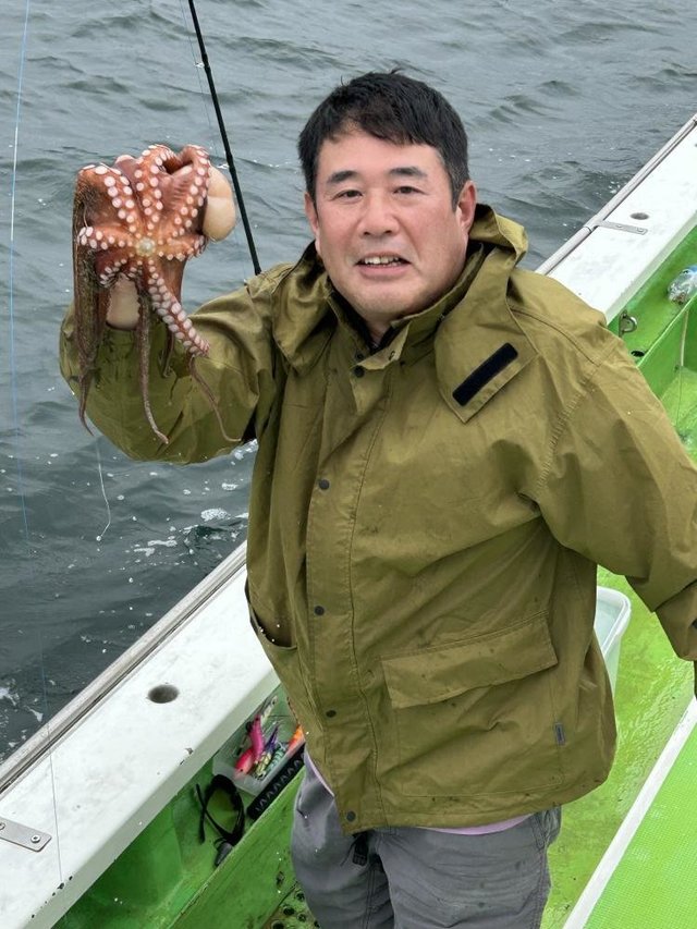 マダコ