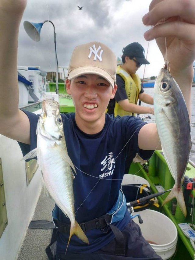 アジ(マアジ)