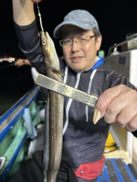 アナゴ(マアナゴ)