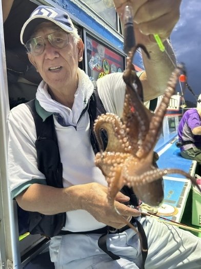 マダコ