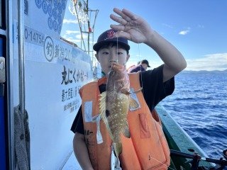 キジハタ