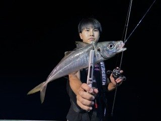 アジ(マアジ)
