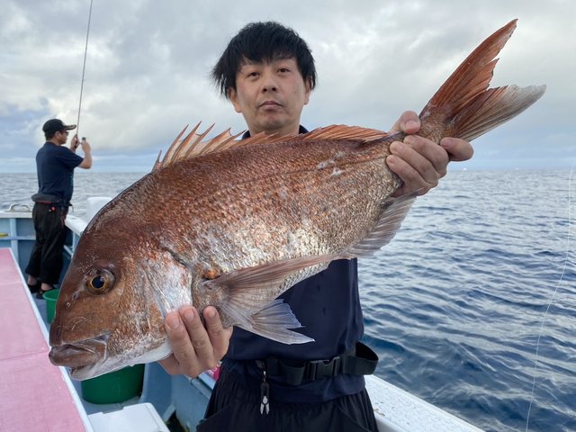 マダイ