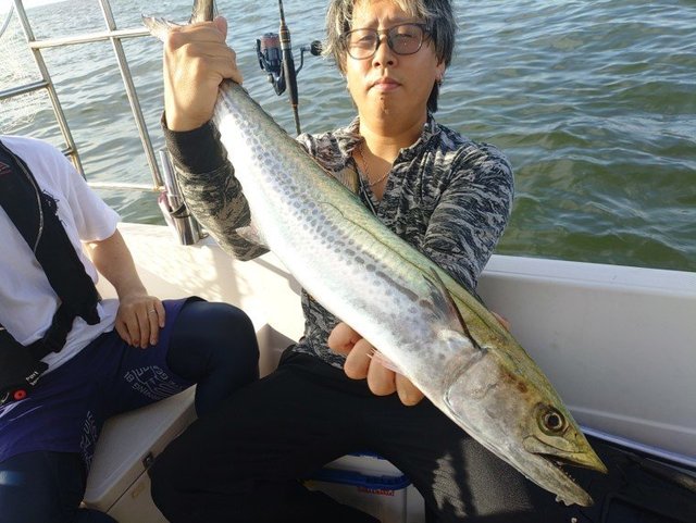 サワラ