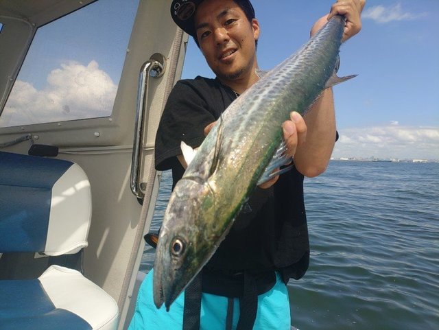 サワラ