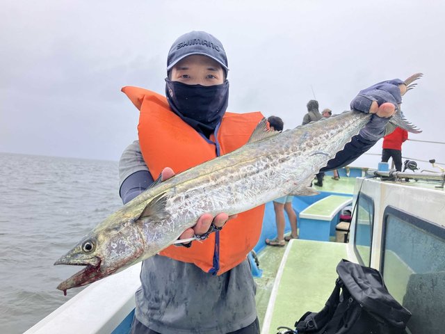サワラ