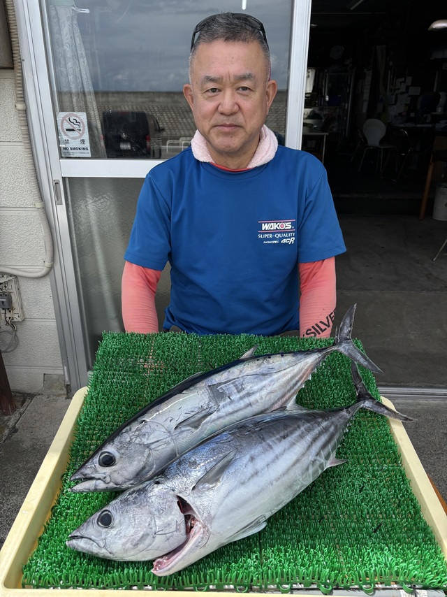 カツオ