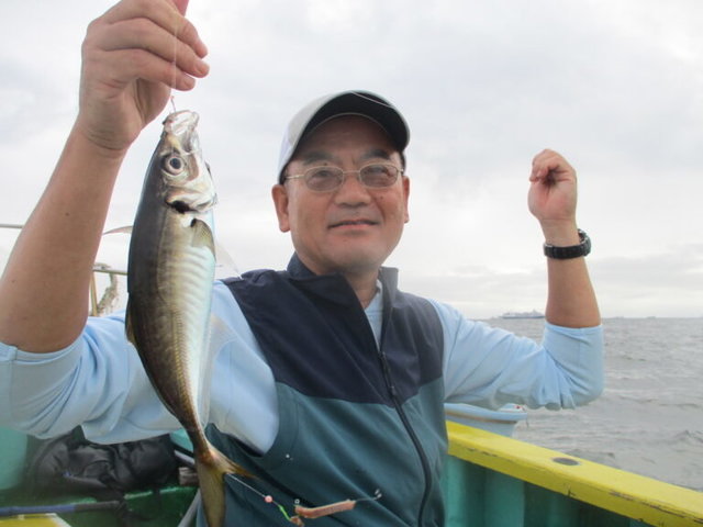 アジ(マアジ)