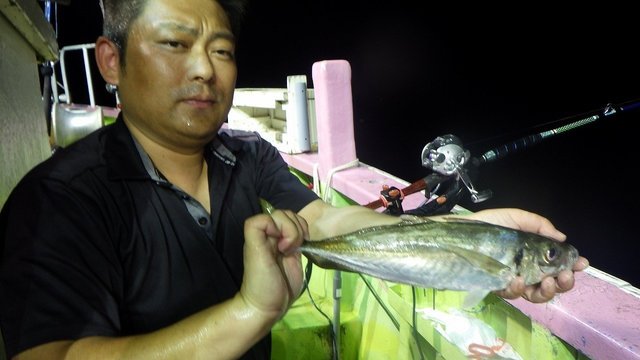 アジ(マアジ)