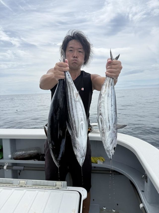 カツオ