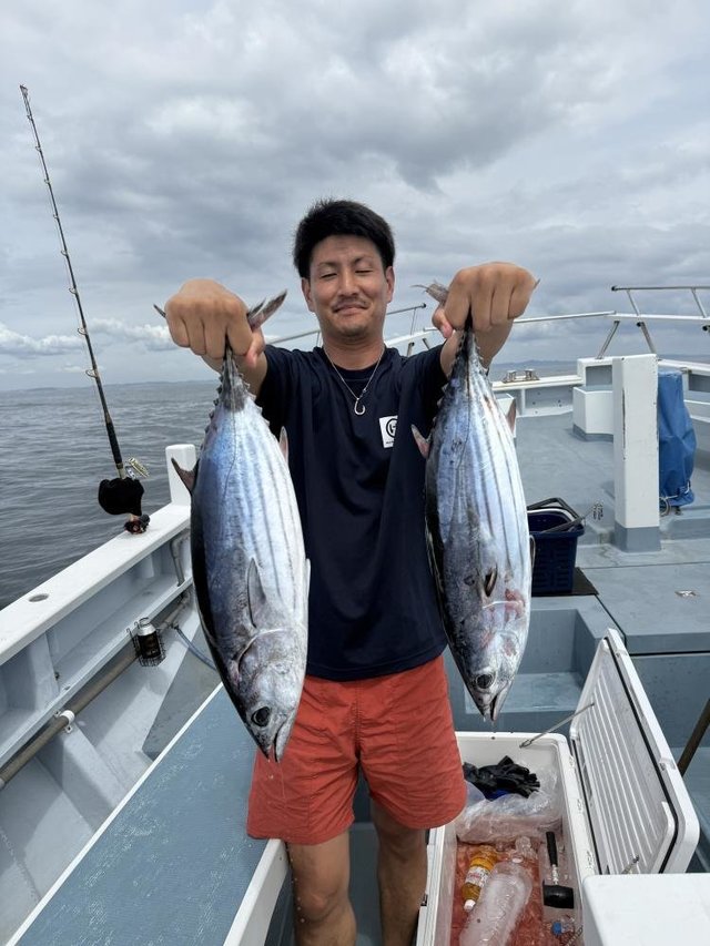 カツオ