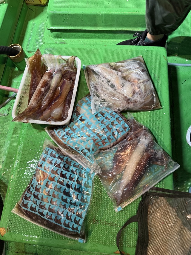 スルメイカ