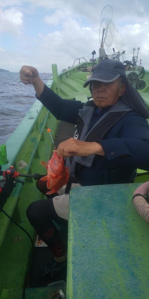 カサゴ