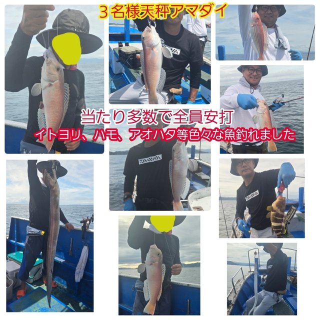 シロアマダイ