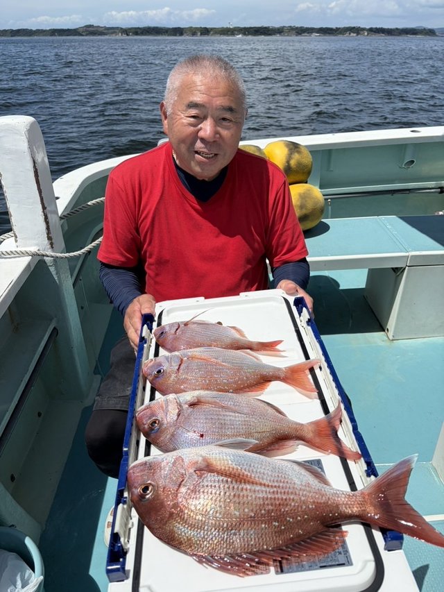 マダイ
