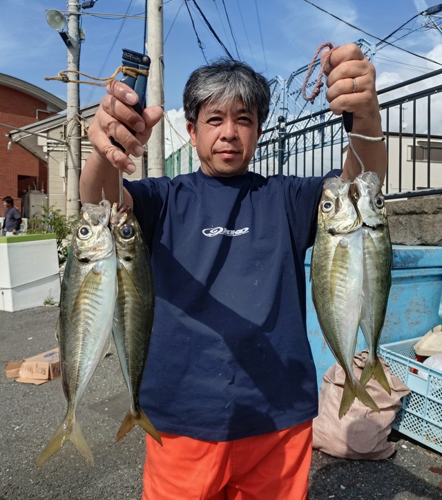 アジ(マアジ)