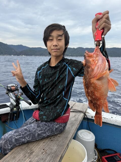 カサゴ