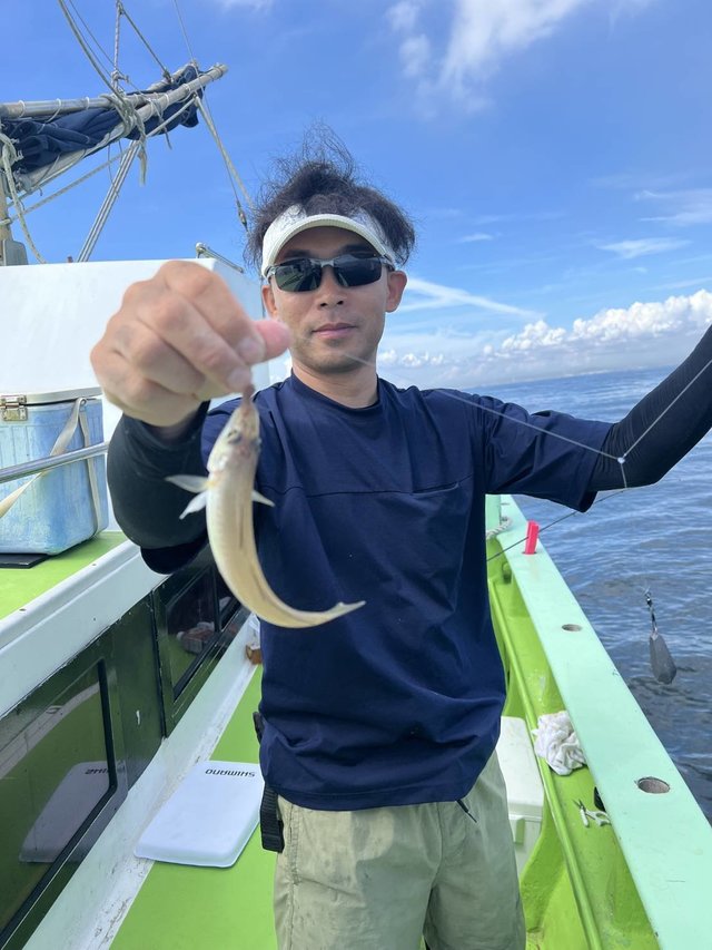シロギス