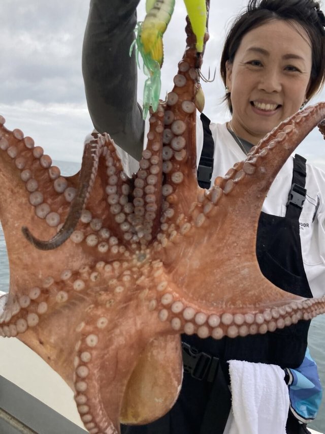 タコ(マダコ)