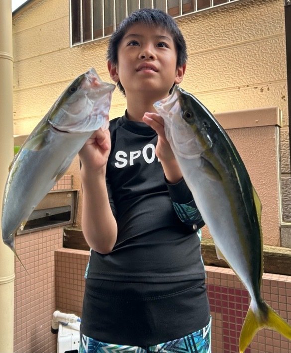 ワカシ(ブリ)