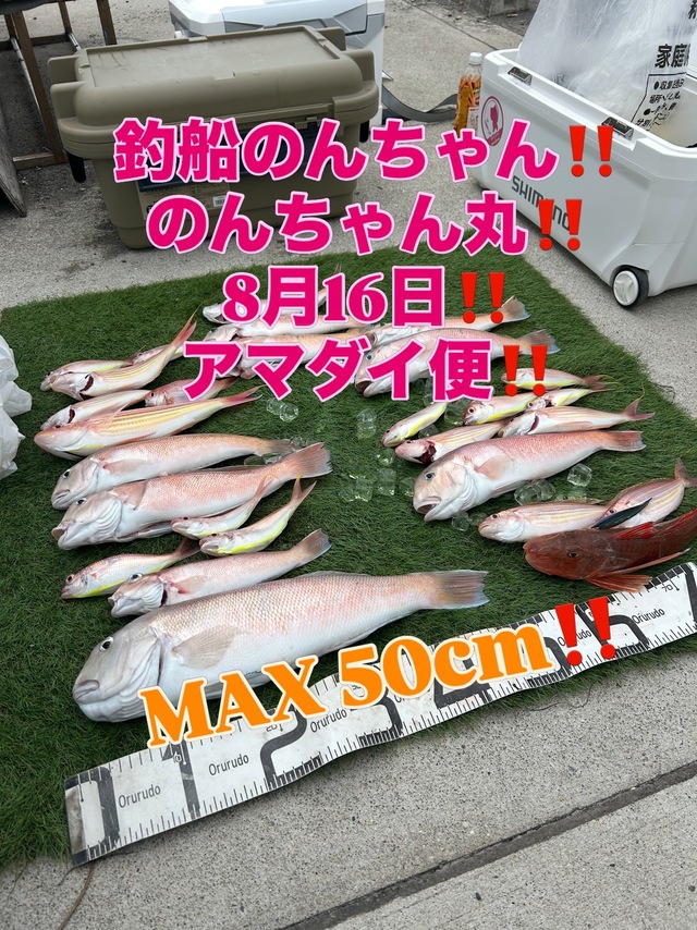 シロアマダイ
