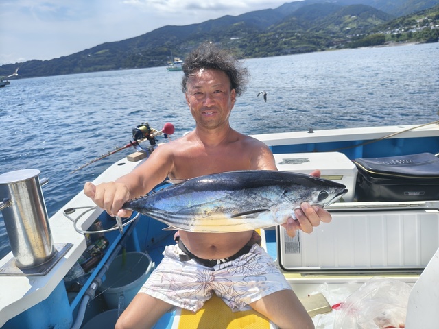 カツオ