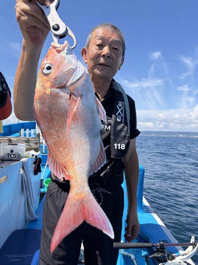 マダイ