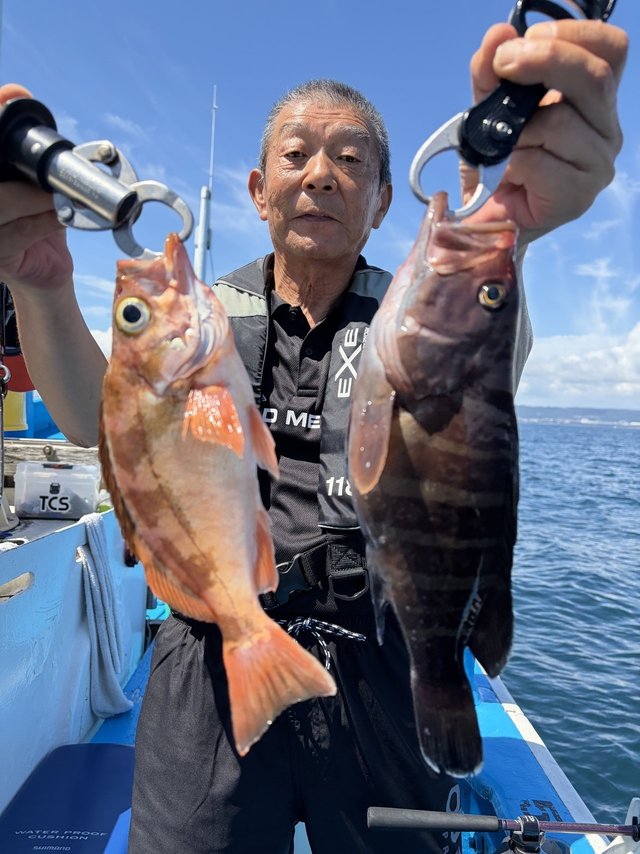 マハタ・メバル