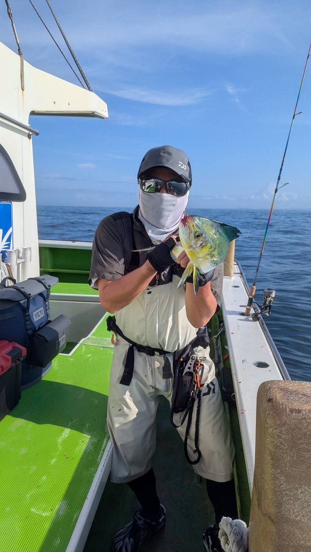 シイラ
