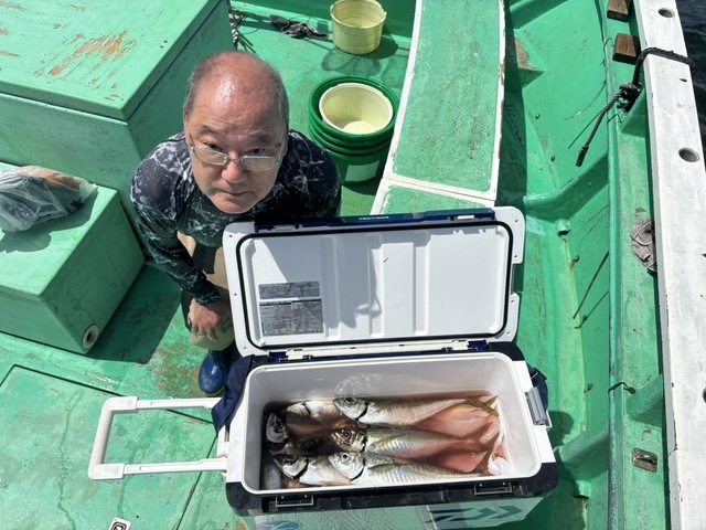 マアジ