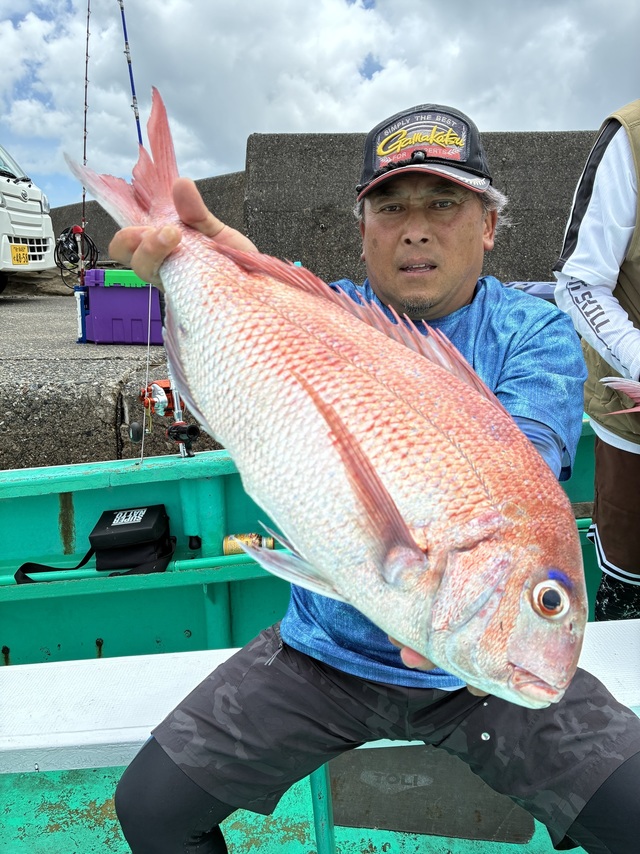 マダイ