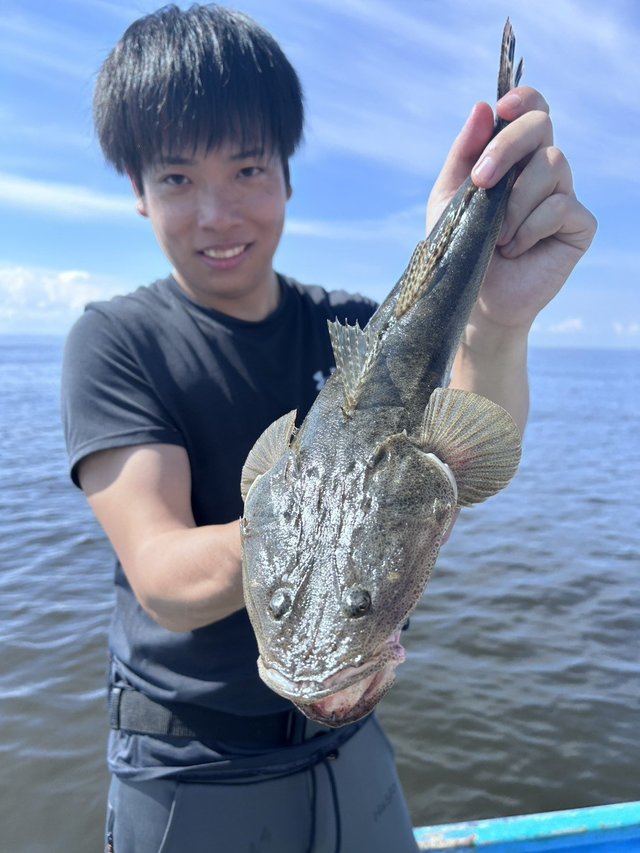 マゴチ